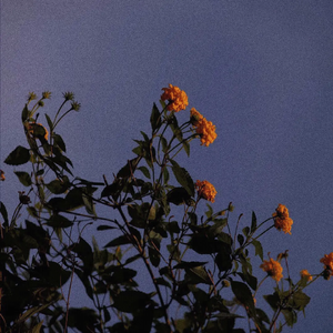 吴敏婚纱三部曲观看顺序
